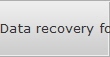 Data recovery for Blue Point data